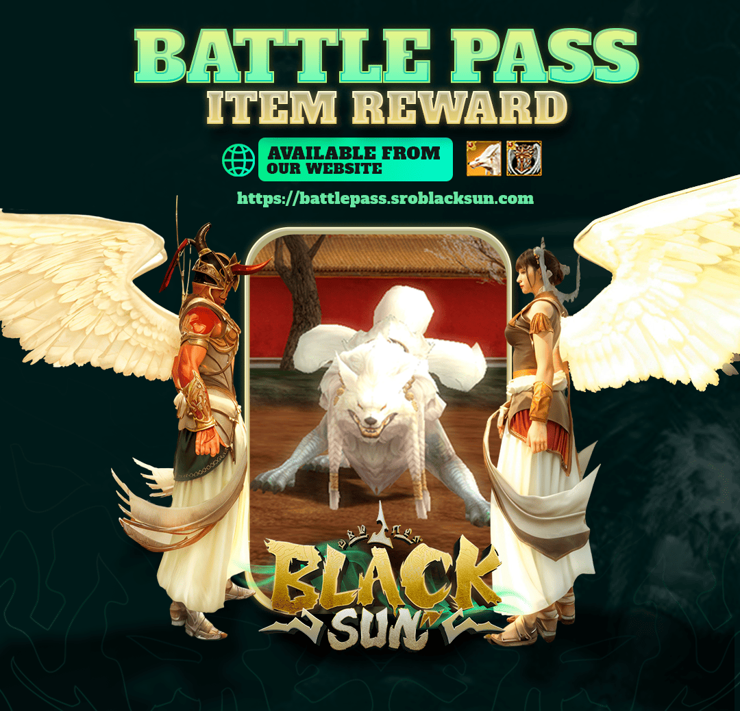 BlackSun Guide Page 6
